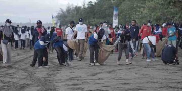 clean up the world 2021